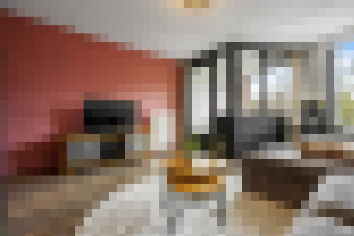 De Halte 55 Ede thumbnail 7