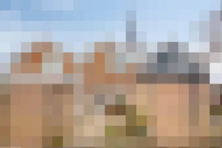 De Halve Maan 6 dans Zaandam