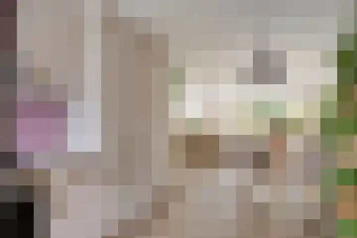 De Halve Maan 6 Zaandam thumbnail 10