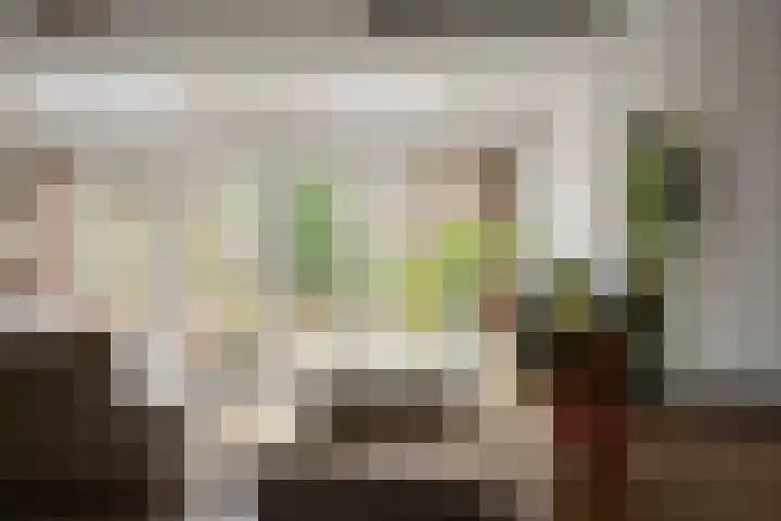 De Halve Maan 6 Zaandam thumbnail 12