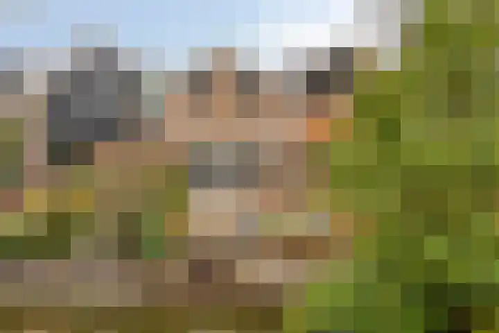 De Halve Maan 6 Zaandam thumbnail 13
