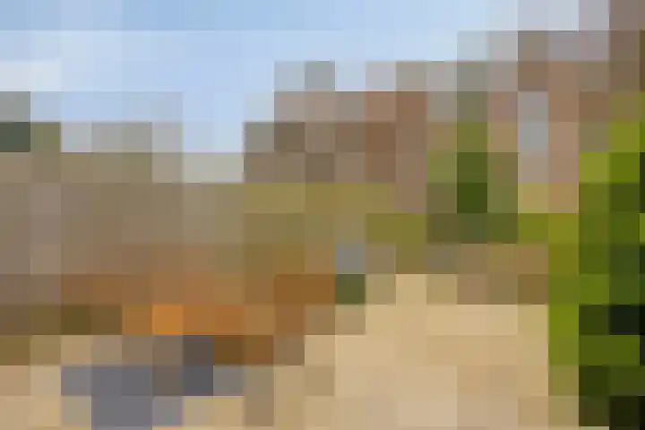De Halve Maan 6 Zaandam thumbnail 14