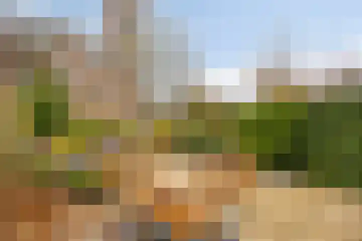 De Halve Maan 6 Zaandam thumbnail 15