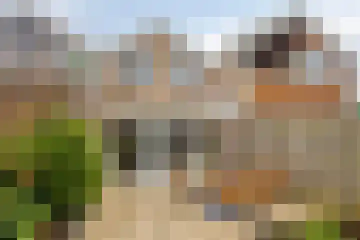 De Halve Maan 6 Zaandam thumbnail 16