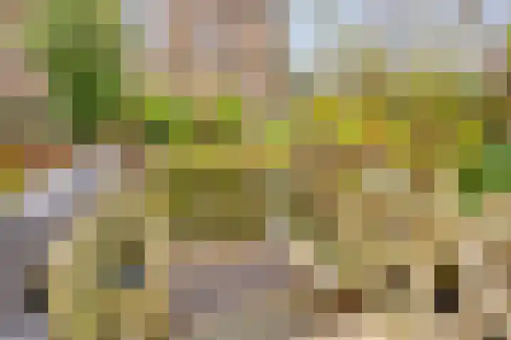 De Halve Maan 6 Zaandam thumbnail 17