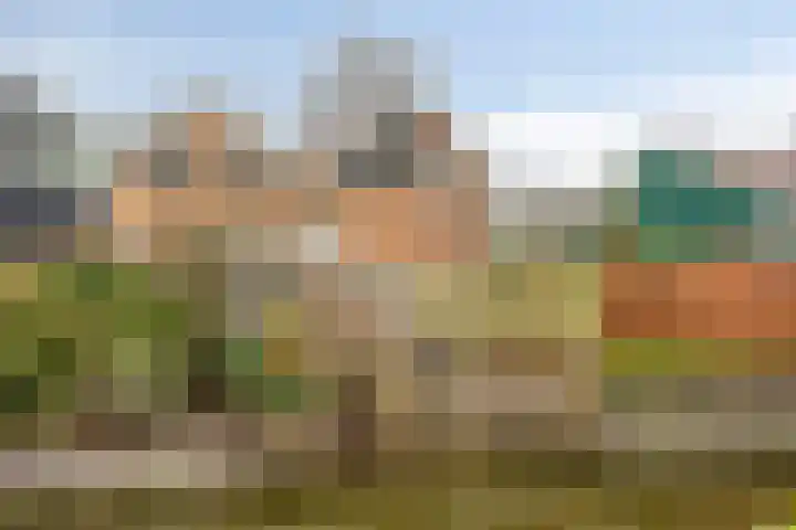 De Halve Maan 6 Zaandam thumbnail 18