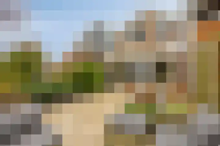 De Halve Maan 6 Zaandam thumbnail 19