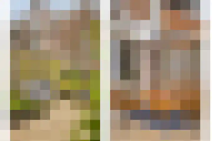 De Halve Maan 6 Zaandam thumbnail 20