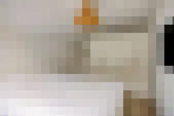 De Halve Maan 6 Zaandam thumbnail 23