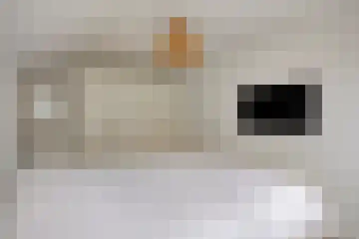 De Halve Maan 6 Zaandam thumbnail 24