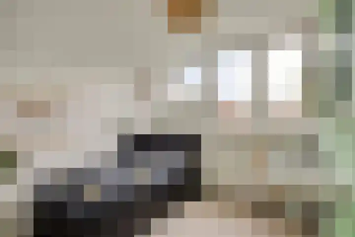 De Halve Maan 6 Zaandam thumbnail 25