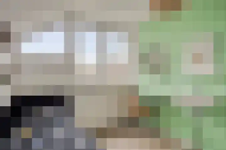 De Halve Maan 6 Zaandam thumbnail 26