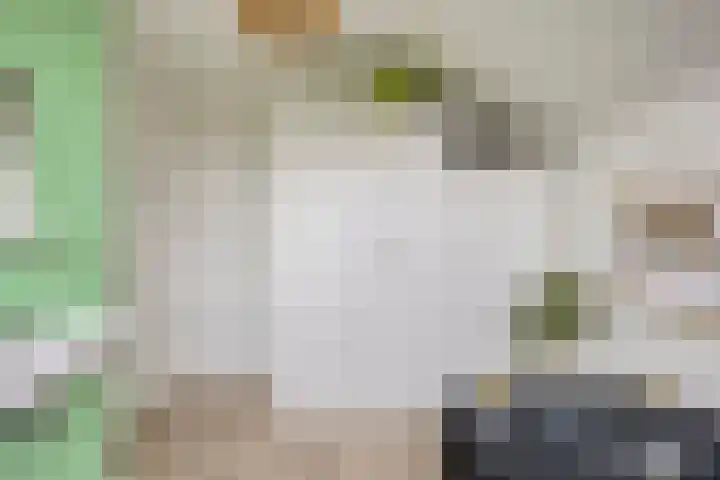 De Halve Maan 6 Zaandam thumbnail 27
