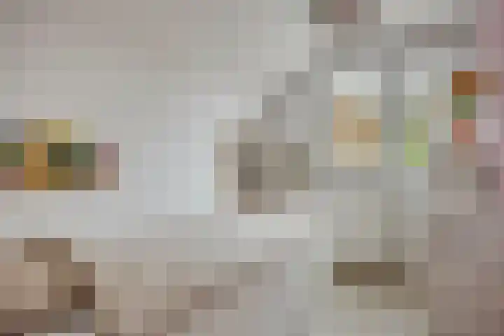De Halve Maan 6 Zaandam thumbnail 28