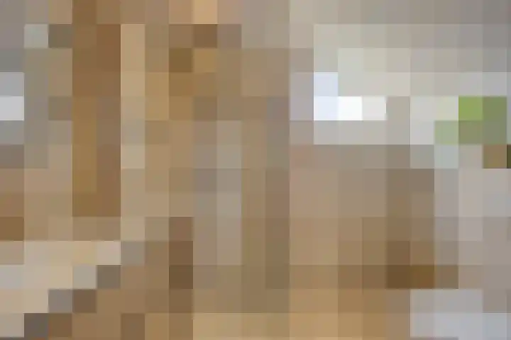 De Halve Maan 6 Zaandam thumbnail 29