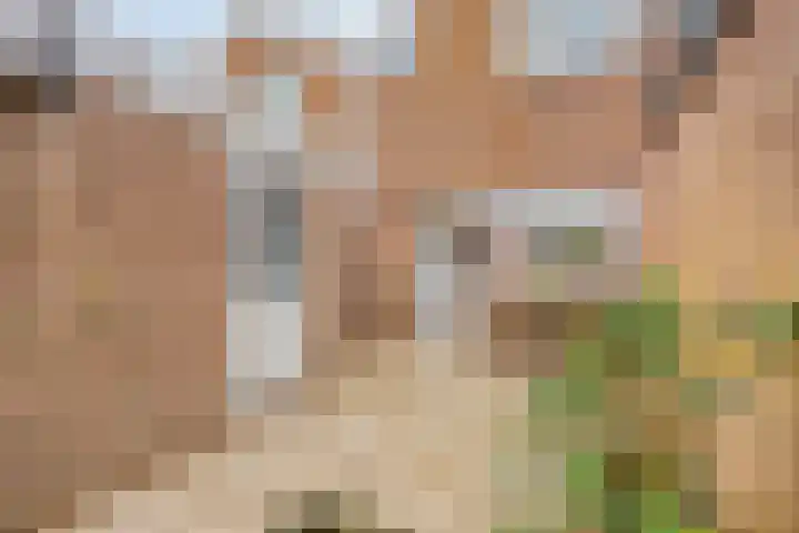 De Halve Maan 6 Zaandam thumbnail 33