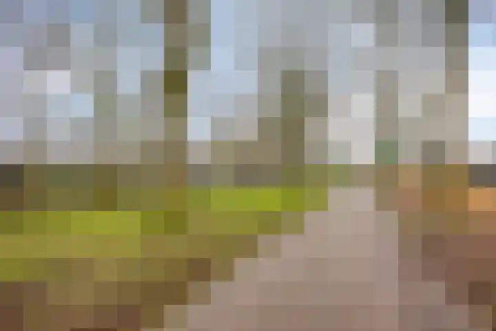 De Halve Maan 6 Zaandam thumbnail 36