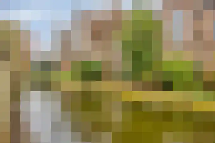 De Halve Maan 6 Zaandam thumbnail 37