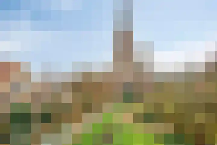 De Halve Maan 6 Zaandam thumbnail 38