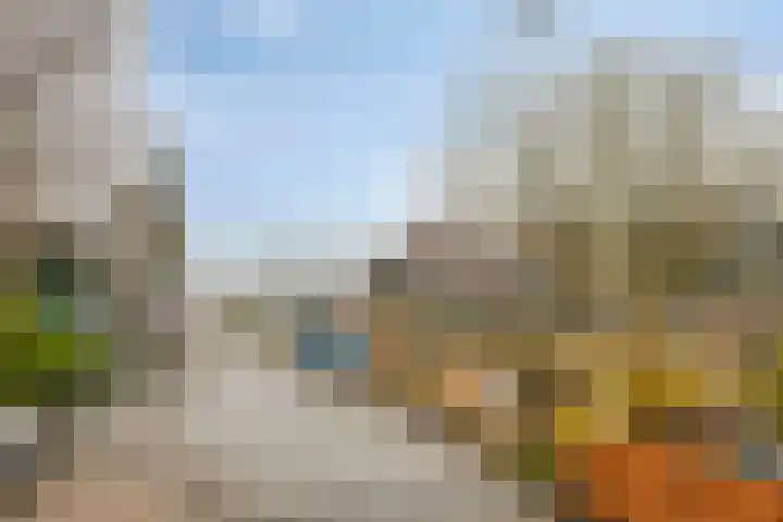De Halve Maan 6 Zaandam thumbnail 39