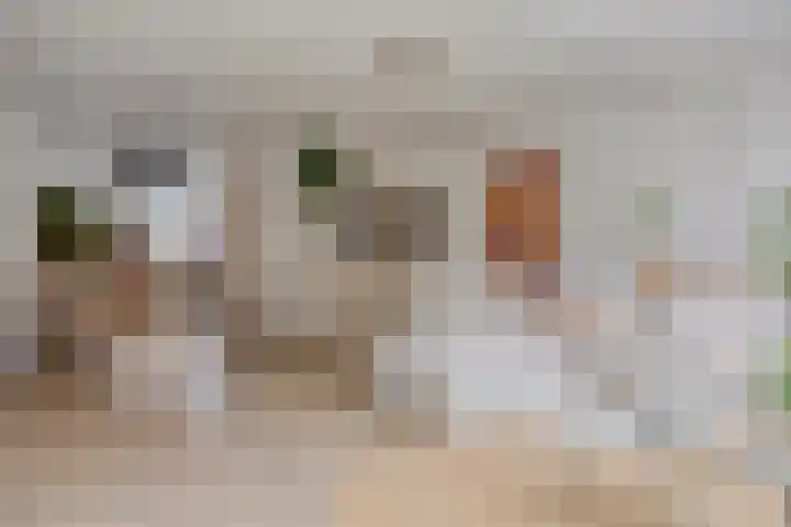 De Halve Maan 6 Zaandam thumbnail 4