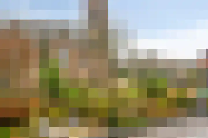 De Halve Maan 6 Zaandam thumbnail 40