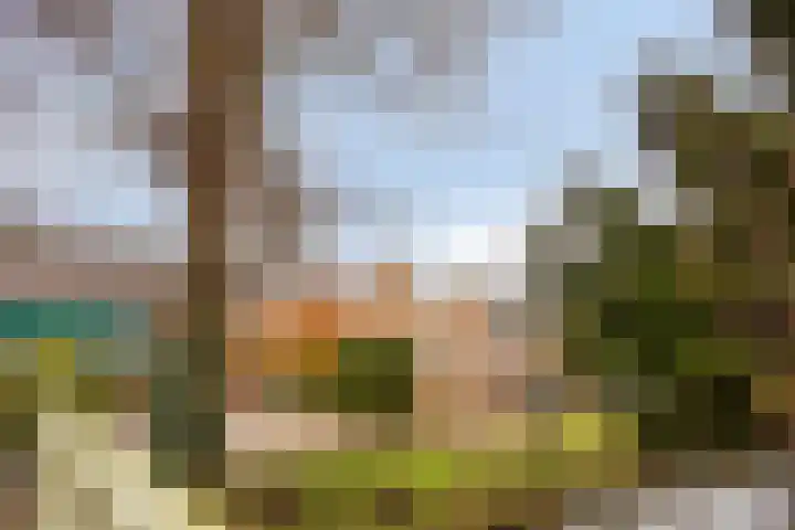 De Halve Maan 6 Zaandam thumbnail 41