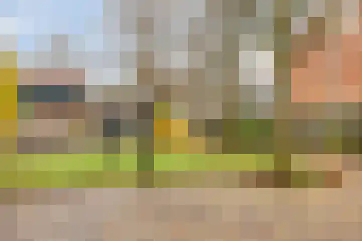 De Halve Maan 6 Zaandam thumbnail 42