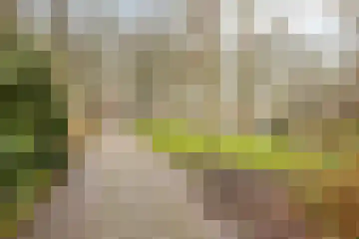 De Halve Maan 6 Zaandam thumbnail 43