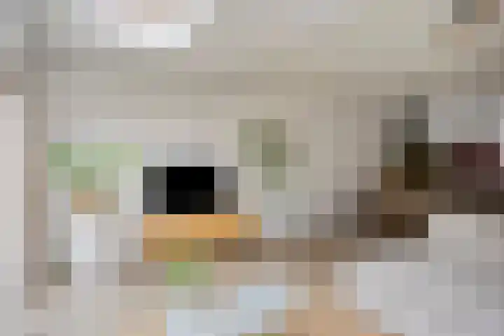 De Halve Maan 6 Zaandam thumbnail 5