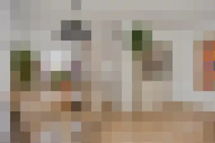 De Halve Maan 6 Zaandam thumbnail 6