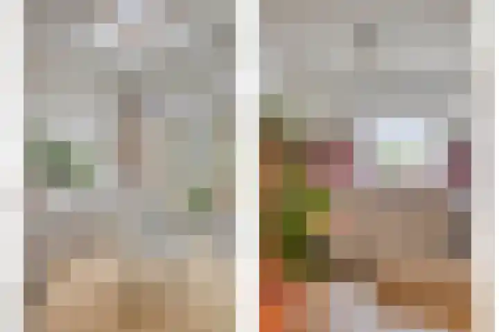 De Halve Maan 6 Zaandam thumbnail 7