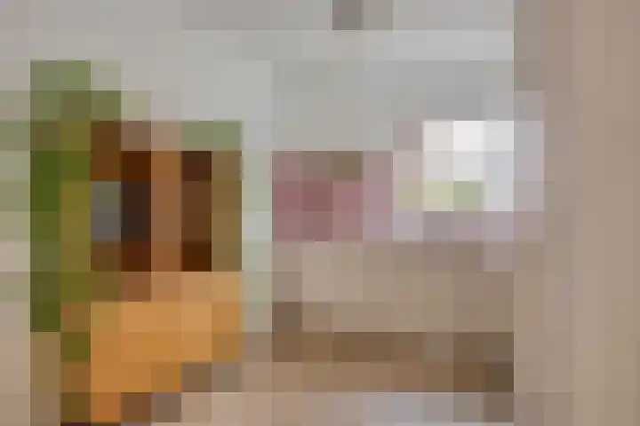 De Halve Maan 6 Zaandam thumbnail 8