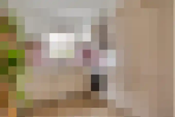 De Halve Maan 6 Zaandam thumbnail 9