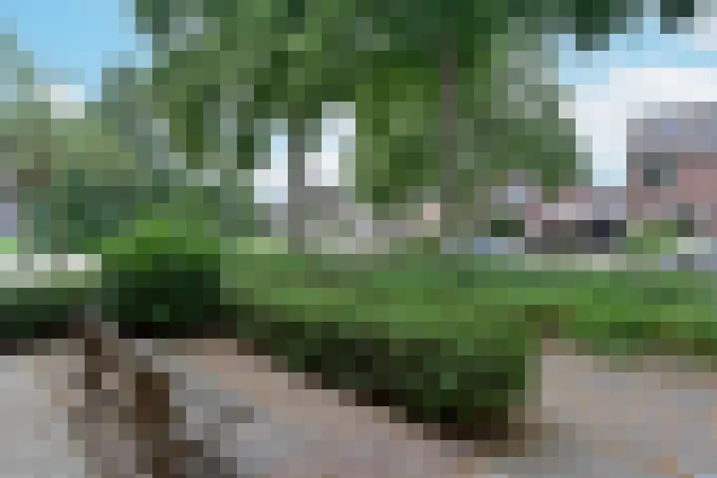 De Halve Roe 73 Nieuwkoop thumbnail 17