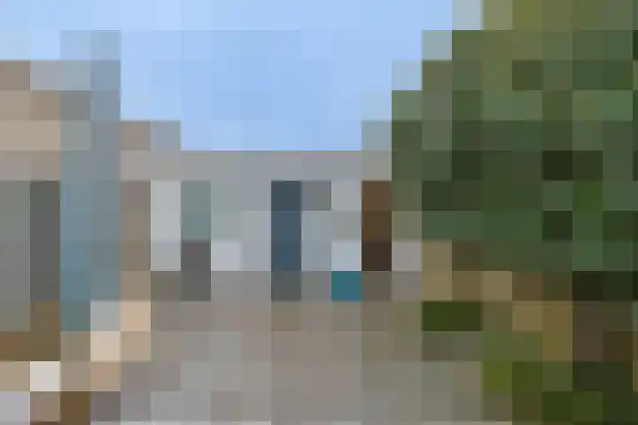 De Halve Roe 87 Nieuwkoop thumbnail 11