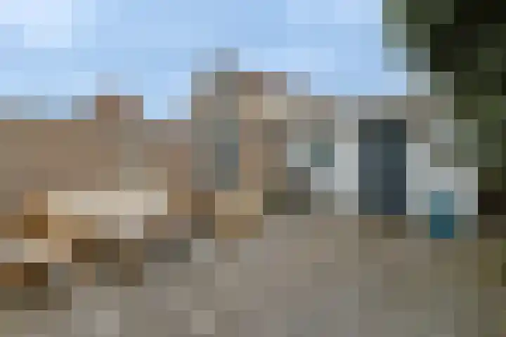 De Halve Roe 87 Nieuwkoop thumbnail 12