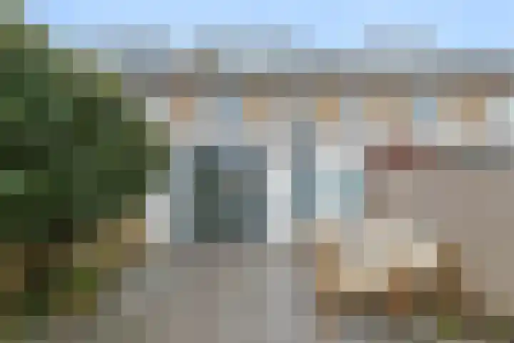 De Halve Roe 87 Nieuwkoop thumbnail 14