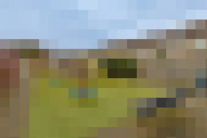 De Halve Roe 87 Nieuwkoop thumbnail 35