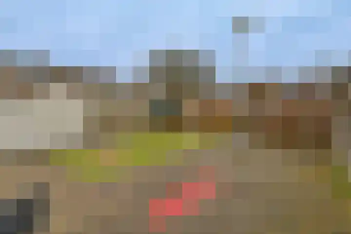 De Halve Roe 87 Nieuwkoop thumbnail 36