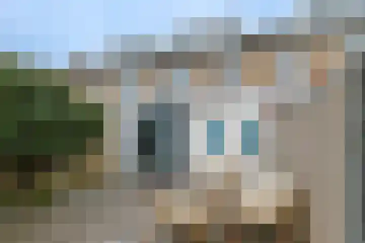 De Halve Roe 87 Nieuwkoop thumbnail 4