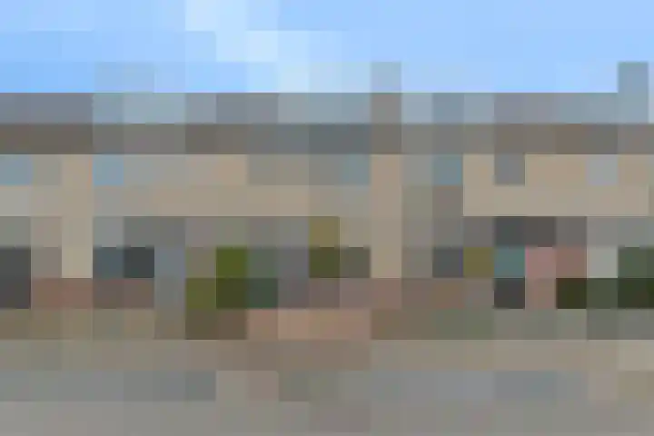 De Halve Roe 87 Nieuwkoop thumbnail 5