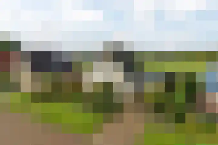 de Hammeren 17 en Kollum