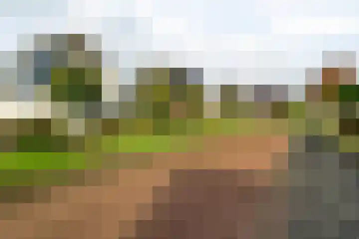 de Hammeren 17 Kollum thumbnail 10