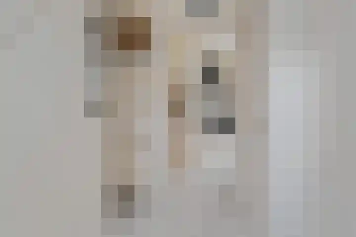 de Hammeren 17 Kollum thumbnail 11