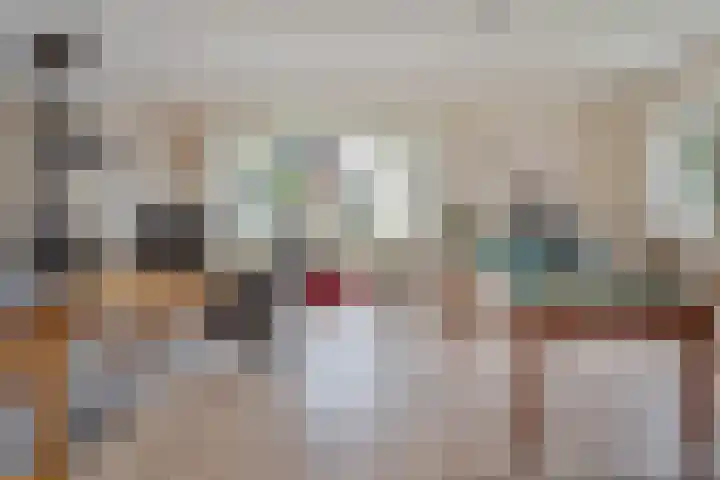 de Hammeren 17 Kollum thumbnail 13
