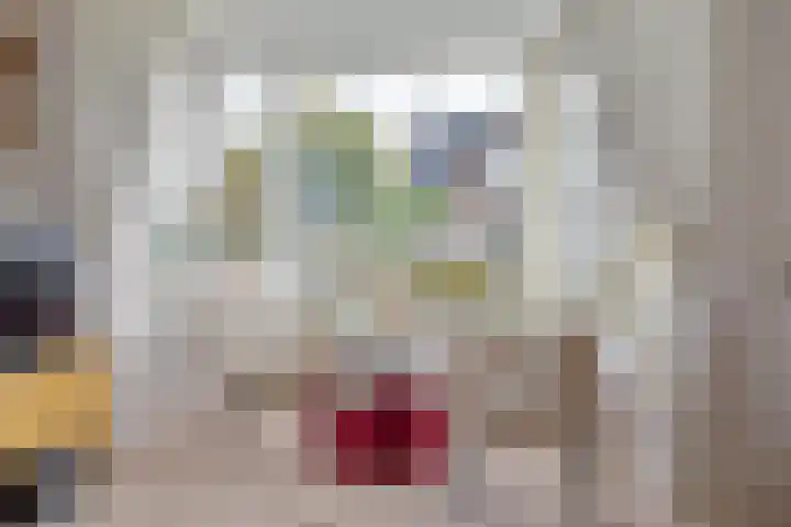 de Hammeren 17 Kollum thumbnail 14