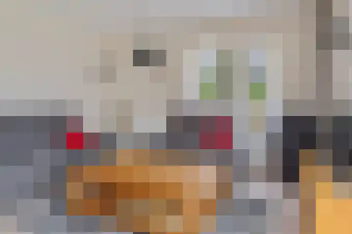 de Hammeren 17 Kollum thumbnail 15