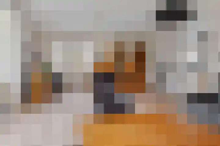 de Hammeren 17 Kollum thumbnail 16