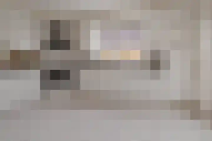 de Hammeren 17 Kollum thumbnail 19